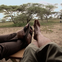 Pieds